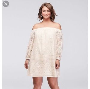 David's Bridal 1x Lace Mini Dress
